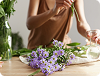 homeopath ilkeston