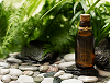 homeopath ilkeston